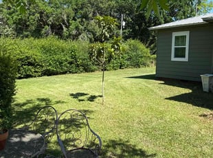 Jennifer H.'s Yard Cutting service result