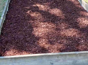 Mulching by Brandon Hill for Tonia F. in Portland, OR