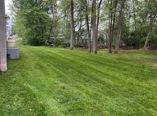Tara R.'s Yard Cutting service result