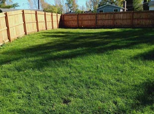 Deoundrea K.'s Lawn Mowing Service service result