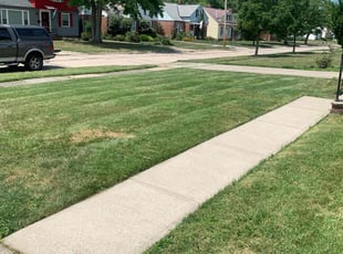 Patricia E R.'s Yard Cutting service result