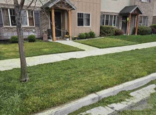 Lee M.'s Yard Cutting service result