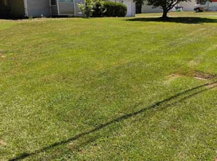Denton N.'s Lawn Service service result