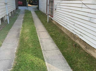 Laurie D.'s Yard Cutting service result