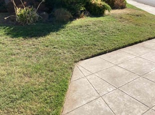 Cleanups by Alex Rodriguez for Joshua w. in Fresno, CA