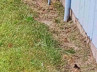 Weeding by Brandon Hill for Kathy B. in Gresham, OR