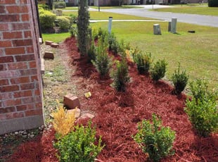 Bush Trimming by Dan Allen for Debra B. in Baton Rouge, LA