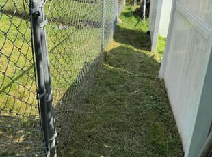 Terrie H.'s Lawn Service service result