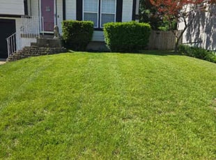 Mario C.'s Lawn Care service result