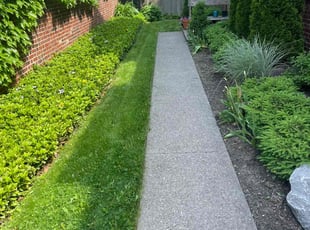 Ann W.'s Lawn Mowing service result
