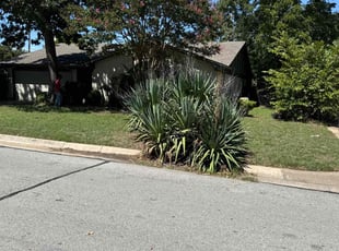Bush Trimming by James Landes for LaRee S. in Arlington, TX