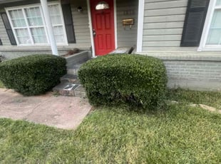 Bush Trimming by Adrian Williams for Rafael V. in Arlington, TX