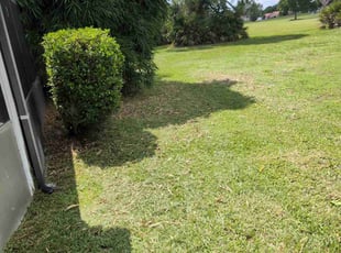 Bush Trimming by Michael Banmah for Raj C. in Port St. Lucie, FL