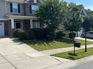 Dioiolisio O.'s Lawn Care service result