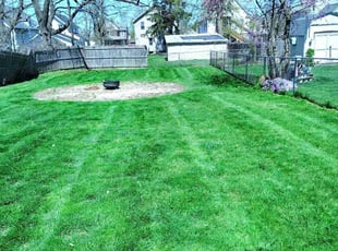 Jen P.'s Yard Cutting service result