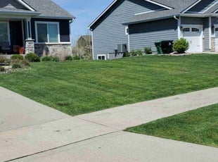 Angie D.'s Lawn Service service result
