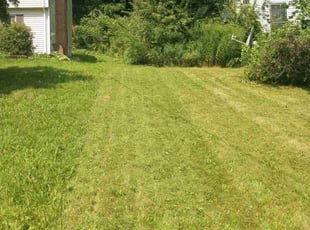 Beatriz H.'s Lawn Maintenance service result