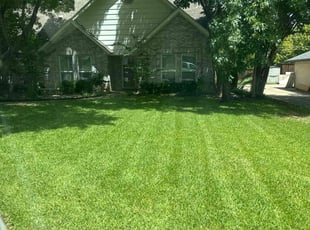 Beatrice G.'s Lawn Service service result