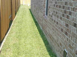 Allison R.'s Lawn Mowing service result