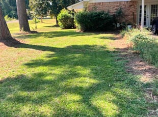Vakersha R.'s Lawn Mowing Service service result