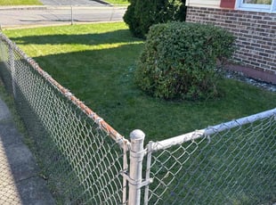 Holly H.'s Lawn Mowing service result