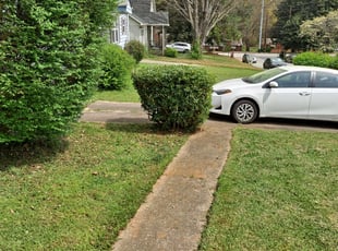 Bush Trimming by Jason Times for Dominique L. in Fairburn, GA