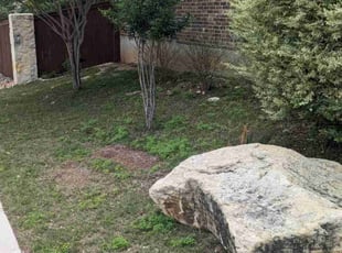Leaf Removal by D'Shaun DuBois for Nicole E. in San Antonio, TX