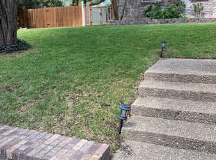 Bush Trimming by Chris Tyler for Jorge S. in San Antonio, TX