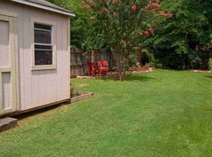 Jason S.'s Lawn Mowing service result
