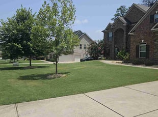 Kathleen D.'s Lawn Mowing Service service result