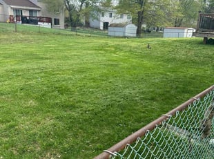 Mike R.'s Lawn Service service result