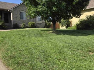 Teresa v.'s Lawn Maintenance service result