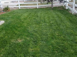 PRABHU T.'s Lawn Mowing service result