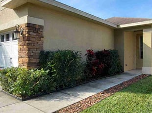 Bush Trimming by Chad German for Ken L. in Safety Harbor, FL