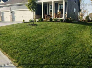 Ryker N.'s Grass Cutting service result