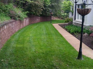 Matthew A.'s Lawn Mowing service result