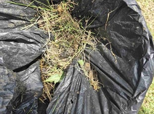 Cleanups by Erik Bullens for April W. in Indianapolis, IN