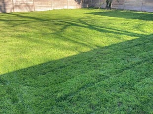 Jesus C.'s Lawn Care service result