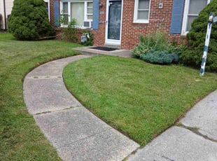 Yaris C.'s Lawn Care service result