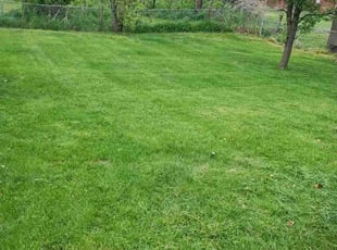 Kyle B.'s Lawn Maintenance service result