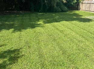 Ebony J.'s Yard Cutting service result