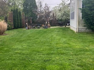Raqueal P.'s Lawn Mowing service result