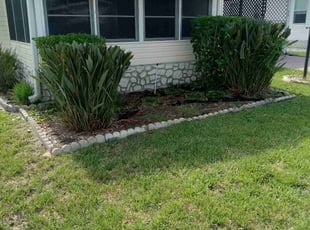 Bush Trimming by Edson Vargas for Catherine A. in Davenport , FL