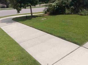 Lauren G.'s Lawn Care service result