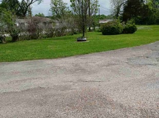 Viviana R.'s Lawn Care service result