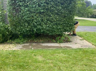 Bush Trimming by Aurelio Vazquez for Lauren L. in Commerce Charter Township, MI