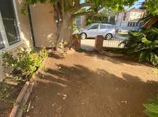 Leaf Removal by Carlos Romero for Lisa L. in Los Angeles, CA