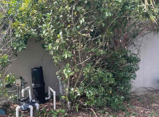 Cleanups by James Ramey for Michelle j. in Davenport, FL