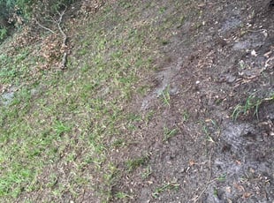 Weeding by Jean Claude Zephirin for Jessica T. in St. Augustine, FL