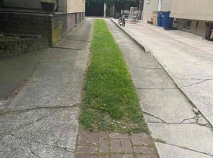 Terrance G.'s Lawn Mowing service result